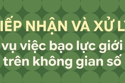 Tiếp nhận và xử lý vụ việc bạo lực giới trên không gian số