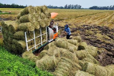 Từ nông nghiệp truyền thống sang nông nghiệp tuần hoàn: Thực trạng, thách thức và giải pháp