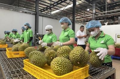 Đẩy nhanh thời gian cấp mã số vùng trồng, tạo thuận lợi cho xuất khẩu nông sản