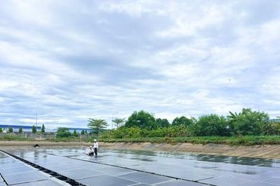Hiệu quả năng lượng - dư địa tăng trưởng mới của Việt Nam