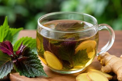 Điều gì xảy ra với cơ thể khi uống nước lá tía tô với gừng?