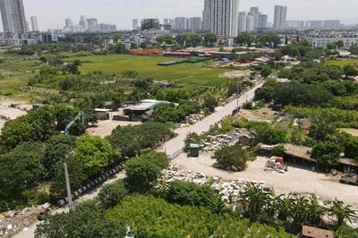 Chủ tịch xã có thẩm quyền phạt đến 250 triệu đồng vi phạm về đất đai