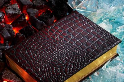 Có gì trong Game of Thrones bản 'da rồng'?