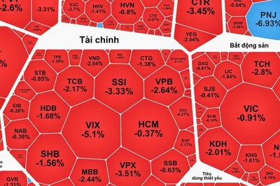 VN-Index giảm hơn 20 điểm