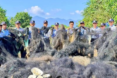Cần hoàn thiện các giải pháp bảo tồn chim yến Khánh Hòa