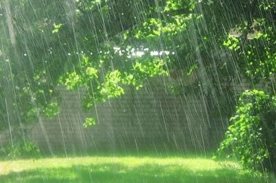 Tản mạn: Cơn mưa mùa Hạ
