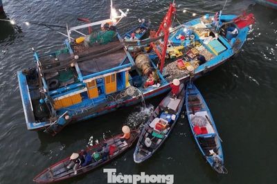 Theo chân ngư dân đến chợ nổi duy nhất ở Quảng Ngãi lúc 4 giờ sáng