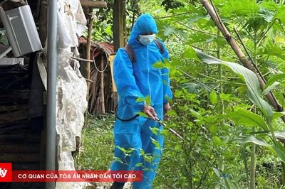 Nguy cơ gia tăng bệnh truyền nhiễm trong mùa mưa, nước đọng