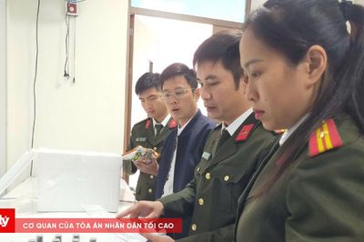 Thanh Hóa: Triệt phá nhiều chuyên án lớn về lừa đảo và tội phạm công nghệ cao
