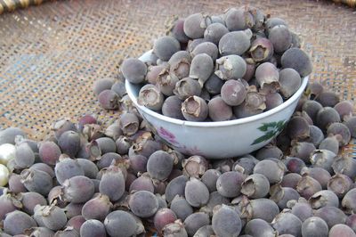 Công dụng ít biết của loài quả dại gắn liền tuổi thơ 7X, 8X