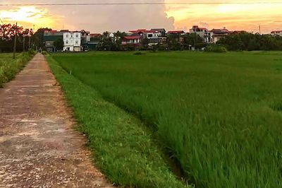 Hơn 1 tháng gửi con về quê, nàng dâu bất ngờ nhận về 'đứa trẻ hoàn toàn khác'
