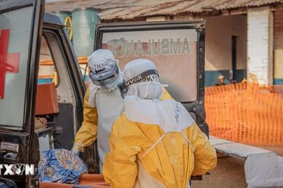 Dịch Ebola: WHO cảnh báo 80% ca bệnh không rõ nguồn lây