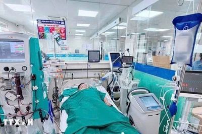 Phú Thọ: Cứu sống bệnh nhân trẻ nguy kịch, nhiều lần ngừng tuần hoàn