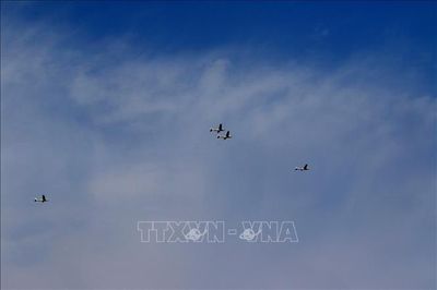 Nga phát triển lá chắn 'mạng nhện' chống UAV