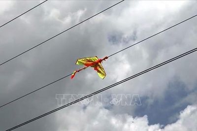 Thả diều và nguy cơ tai nạn điện đối với trẻ em