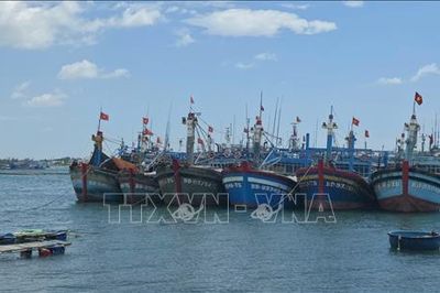 Gia Lai tổng kiểm kê, số hóa tàu cá để nâng hiệu quả chống khai thác IUU