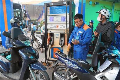Điểm tin kinh tế Việt Nam nổi bật ngày 15/7/2026