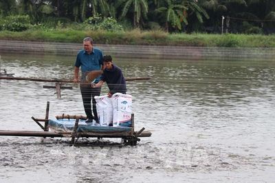 Liên kết chuỗi giá trị, đưa cá rô phi thành ngành hàng xuất khẩu