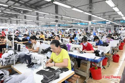 EVFTA và hàng Việt tại Bắc Âu: Hiệu quả thương mại trước sức ép tiêu chuẩn mới