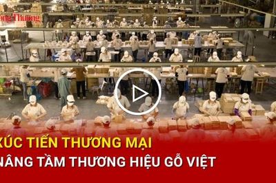 Xúc tiến thương mại nâng tầm thương hiệu gỗ Việt
