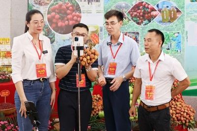 Bắc Ninh triển khai Chiến lược quốc gia về khởi nghiệp sáng tạo với 7 nhóm nhiệm vụ, giải pháp trọng tâm
