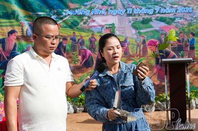 Đảm bảo chất lượng cây giống trước vụ trồng