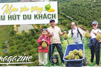 E-magazine Mùa sầu riêng thu hút du khách