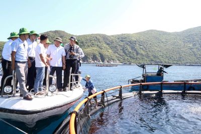 Tăng cường quản lý nuôi biển