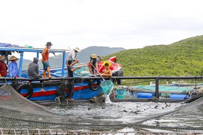Tạo đột phá cho nuôi biển công nghệ cao