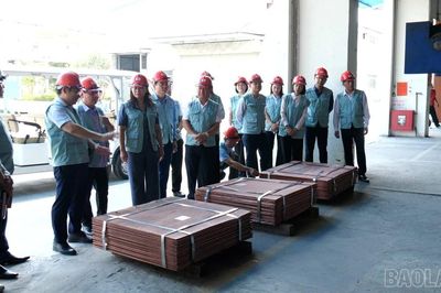 Đoàn Đại biểu Quốc hội tỉnh Lào Cai giám sát việc thực hiện chính sách về điện lực tại các doanh nghiệp