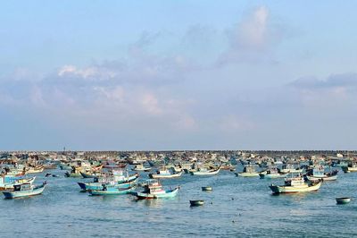 Nỗi lo thiếu lao động biển vụ cá nam