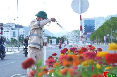 Thầm lặng làm đẹp phố phường