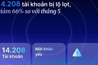 Số vụ lộ tài khoản trong tháng 6 bằng 1/3 so với tháng 5