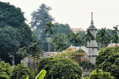Nhiếp ảnh gia Nicolas Cornet: Ngôi chùa Việt là không gian cộng đồng vô cùng độc đáo