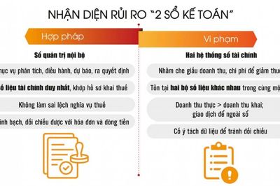 Sử dụng hai sổ kế toán để trốn thuế có thể bị truy cứu trách nhiệm hình sự
