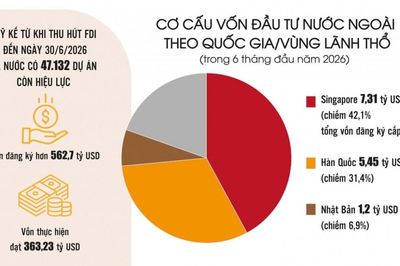 FDI lập kỷ lục mới, năng lực hấp thụ là chìa khóa