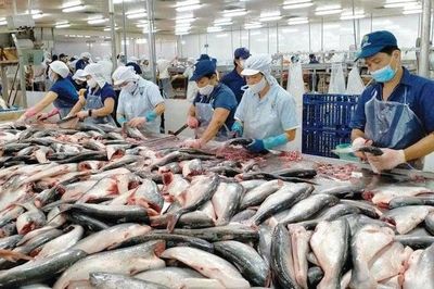 Xuất khẩu thủy sản tăng trưởng hai con số nhưng thách thức vẫn bủa vây