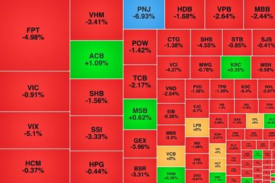 VN-Index giảm gần 25 điểm, FPT và PNJ bị bán mạnh