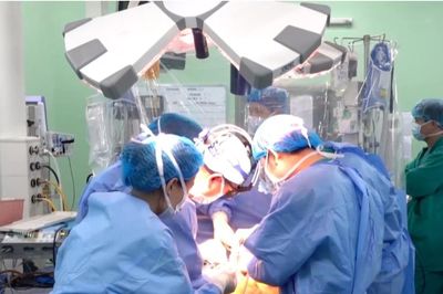 Một cuộc đời cho đi, 7 cuộc đời ở lại