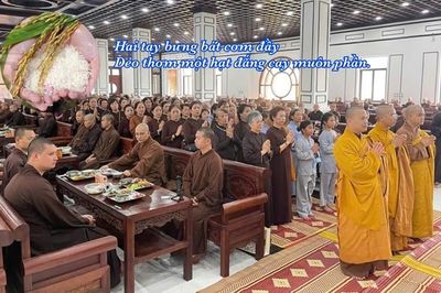 Học về lòng biết ơn từ… hạt gạo