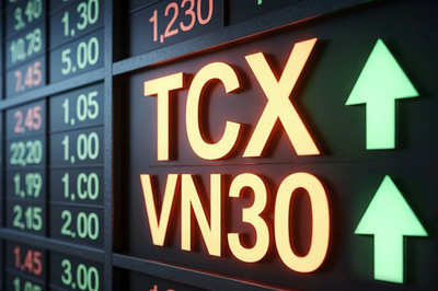 TCX chính thức gia nhập rổ chỉ số VN30 sau chưa đầy một năm niêm yết