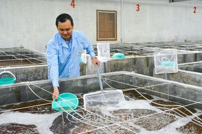 Quản lý chặt chẽ chất lượng tôm giống