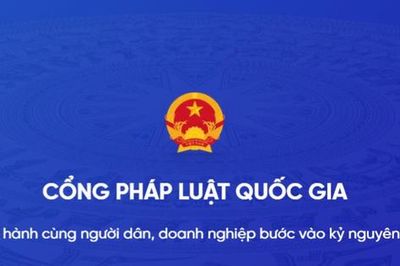 Xây dựng nền tảng số quốc gia dùng chung về pháp luật