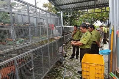 An Giang công khai đường dây nóng bảo vệ động vật hoang dã