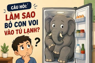 Làm sao bỏ con voi vào tủ lạnh?