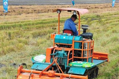 Giá phân bón tăng cao, nông dân chịu áp lực kép