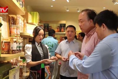 Giữa lòng Thủ đô, trải nghiệm một 'Điện Biên phố' đậm bản sắc
