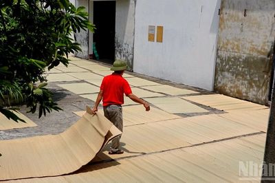 Chiếu cói Vũ Hạ và khát vọng vươn xa
