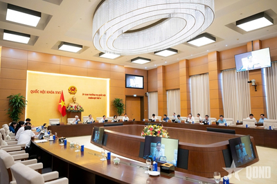 Sửa 10 luật về nông nghiệp, môi trường: Phân cấp phải gắn với hậu kiểm và quy chuẩn thống nhất