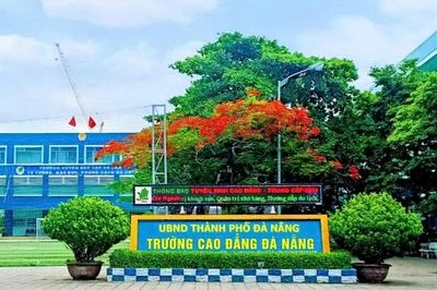 Sáp nhập Trường Cao đẳng Quảng Nam vào Trường Cao đẳng Đà Nẵng